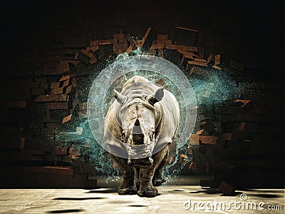 Powerfull as rhino Stock Photo