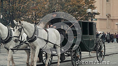 PRAGA, REPÚBLICA CHECA - 23 de outubro de 2017, transportes puxados por cavalos de Rides do cocheiro em Praga video estoque PRAGA, REPÚBLICA CHECA - 23 de outubro de 2017, transportes puxados por cavalos de Rides do cocheiro em Praga video estoque
