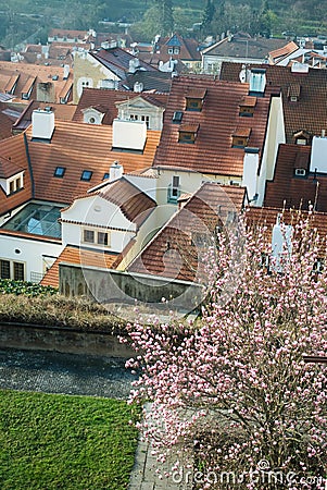 Prague roofs in spring Stock Photo