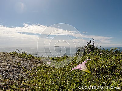 Praia do Gi - Laguna - Santa Catarina - Brasil Stock Photo