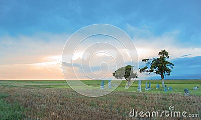 Prairie Cemetery Stock Photo