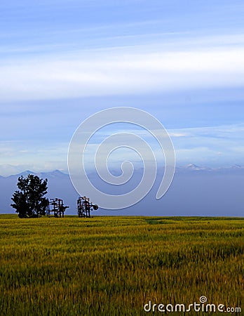 Prairie seeders with mountains Stock Photo