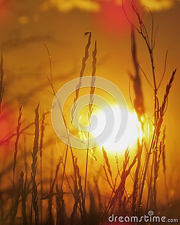 Prairie Sunset in Montana Stock Photo