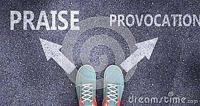 Praise and provocation as different choices in life - pictured as words Praise, provocation on a road to symbolize making decision Cartoon Illustration