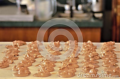 Pralines Cooling at a Candy Store in New Orleans Stock Photo