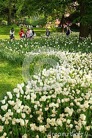 Pralormo, Piedmont, Italy. -04-25-2009- Messer Tulipano gardening exhibition with spring tulips blooming at Pralormo Castle Editorial Stock Photo