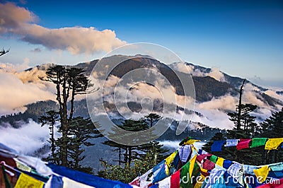 Prayer flags hanging on Thrumshing la , the 3750m pass , eastern Bhutan. Stock Photo