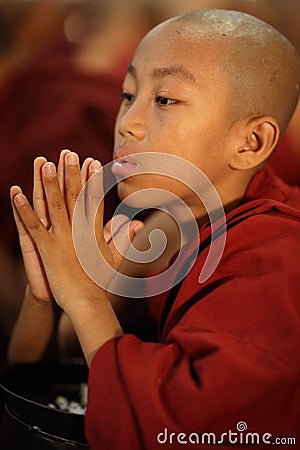 Praying Buddhist novice Editorial Stock Photo