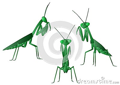 Praying Mantis Vector Illustration