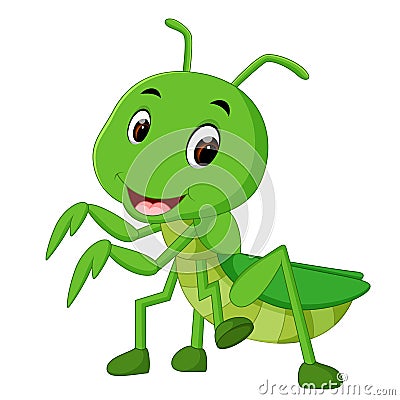 Praying mantis cartoon Vector Illustration