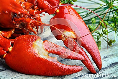 Pre-boiled crayfish Stock Photo