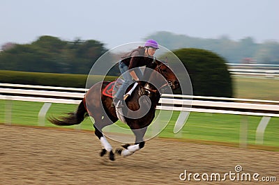 Pre Race Workouts at Keeneland Race Track Editorial Stock Photo