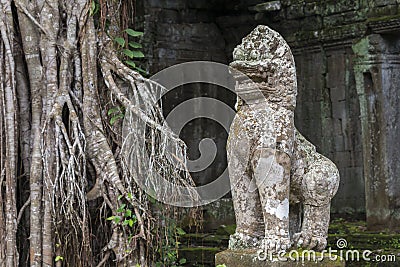 Preah Kahn temple Siem Reap, Angkor Wat, Cambodia Stock Photo