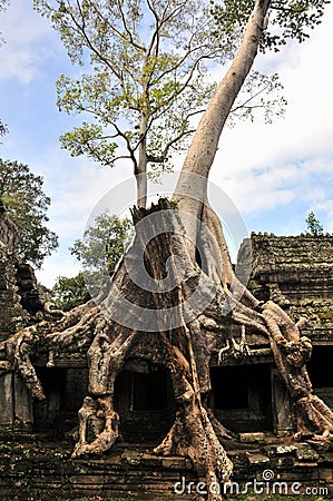 Preah Khan in Angkor Wat Stock Photo