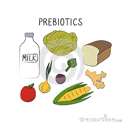 Prebiotics-containing food. Groups of healthy products containing vitamins and minerals. Set of fruits, vegetables Vector Illustration