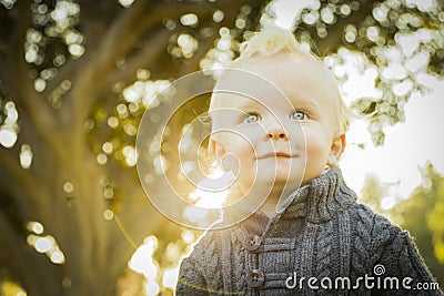 Precious Blonde Baby Boy Outdoors at the Park Stock Photo