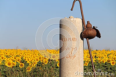 The precious image of a signal that indicates the direction to your destination Editorial Stock Photo