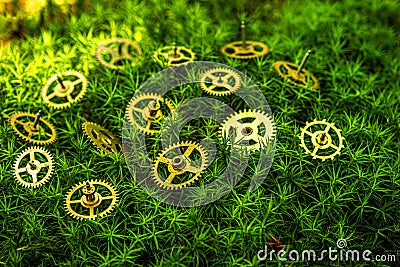 precision engineered toothed brass metal cog wheels on green moss Stock Photo