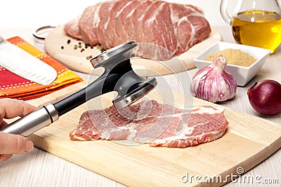 Precursors pork meat, Stock Photo