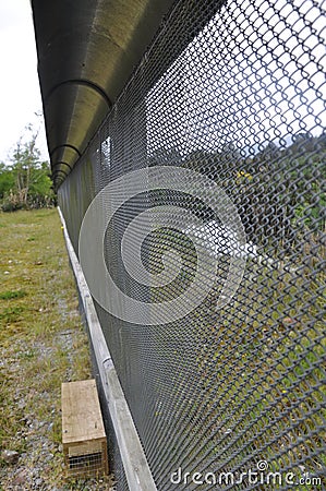 Predator fence at the Bois Gentil Kiwi CrÃ¨che, New Zeland Editorial Stock Photo
