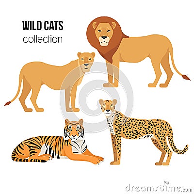 Predatory animals lion, lioness, cheetah, tiger. Wild cats vector set Vector Illustration