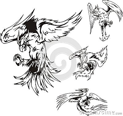 Predatory Bird Tattoos Vector Illustration