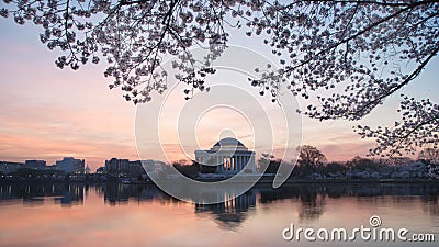 Predawn Cherry blossoms at Washington DC Tidal Basin Stock Photo