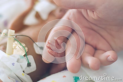 Preemie holding dads finger Stock Photo