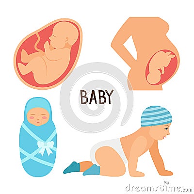 Pregnancy and baby vector illustration. Fetus unborn, newborn child Vector Illustration