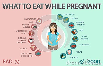 Pregnancy Healthy, Unhealthy Eating Choices Banner Vector Illustration