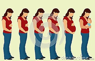 Pregnancy Vector Illustration