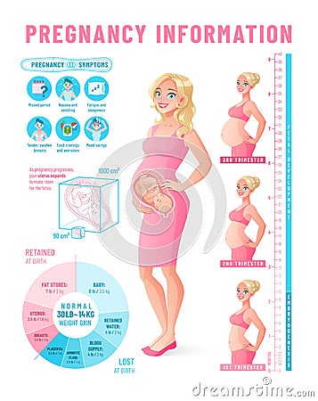 Pregnancy infographic. Healthy pregnant woman vector illustration. Vector Illustration