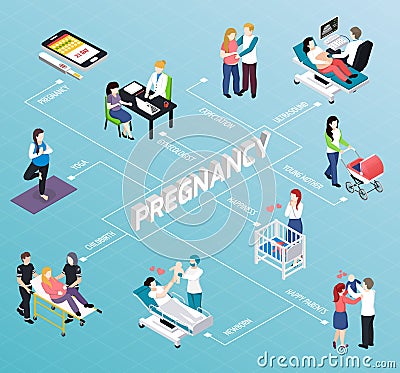 Pregnancy Isometric Flowchart Vector Illustration