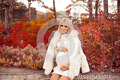 Pregnancy. Motherhood. Pregnant woman hugging her belly enjoying in autumn forest park. Beautiful blond woman in white knit Stock Photo