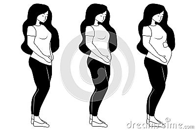 Pregnancy stages. Woman belly figure during pregnancy. Vector Illustration