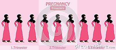 Pregnancy Trimesters of pregnant muslim woman with religious veil hijap Vector Illustration
