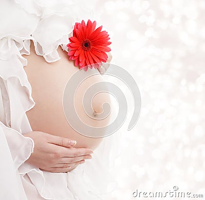Pregnant Belly Flower, Woman Pregnancy Maternity Concept Stock Photo