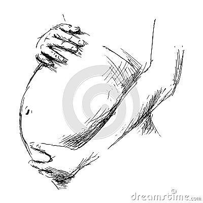 Pregnant belly Vector Illustration