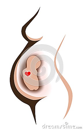 Pregnant belly illustration Stock Photo