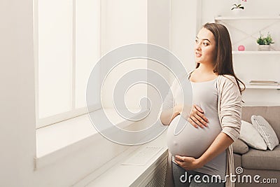 Pegnant woman caressing her belly at home Stock Photo