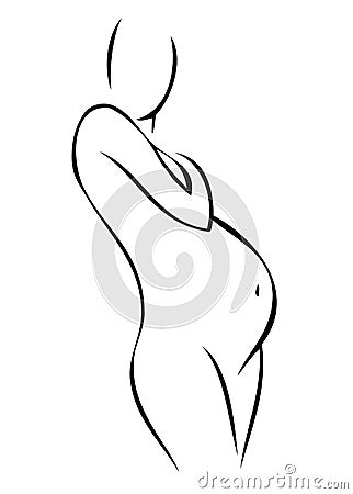 Pregnant woman contour (Vector) Vector Illustration