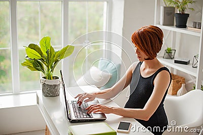 Pregnant woman working on laptop. Image of pregnant business woman typing something on laptop Stock Photo