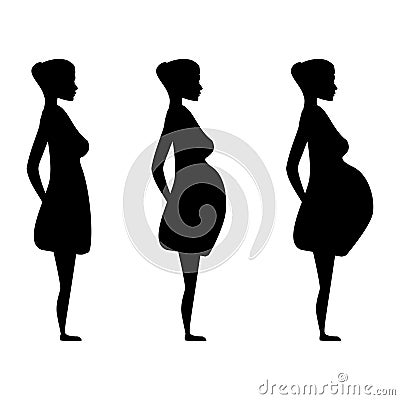 Pregnant women in the three trimesters. Vector Illustration