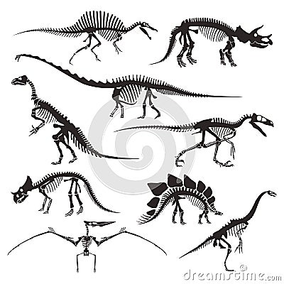 Prehistoric animals bones, dinosaur skeletons isolated icons Vector Illustration