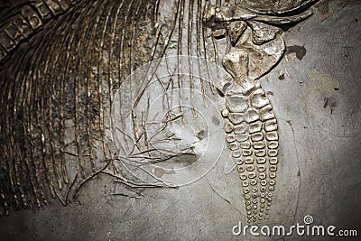 Prehistoric Dinosaur Fossile Editorial Stock Photo