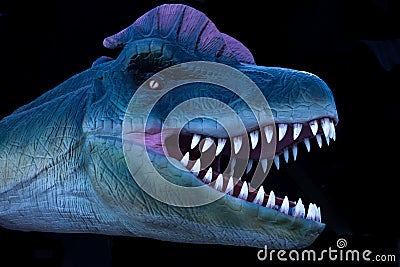 Prehistoric dinosaur head isolated on black background Stock Photo