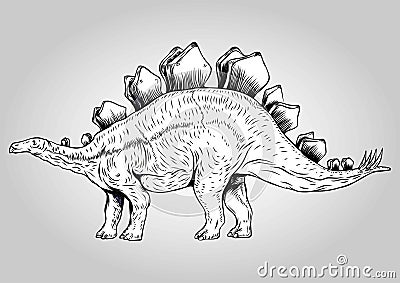 Stegosaurus Walk Alone Prehistoric Dinosaurs Vector Illustration Vector Illustration