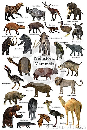 Prehistoric Mammals Collection Stock Photo