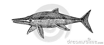 Prehistoric reptile of the Jurassic period, giant ichthyosaur with fins, ancient sea lizard Vector Illustration