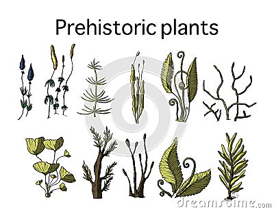 Prehistoric vector plants. Vector Illustration